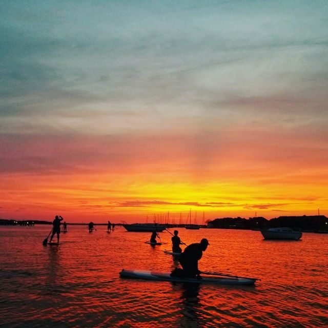 Charleston: Folly Beach Stand Up Paddleboard Dolphin Safari - What’s Included and What to Expect