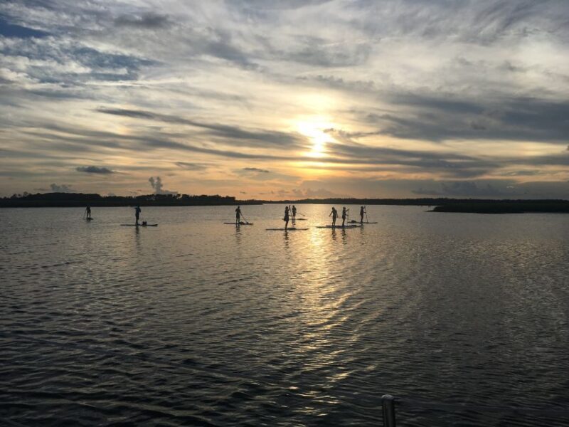 Charleston: Folly Beach Stand Up Paddleboard Dolphin Safari - FAQ