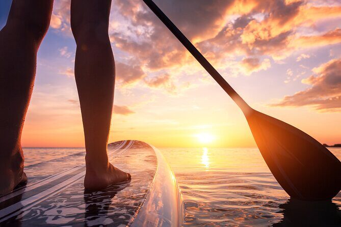 Charleston/Folly Beach Stand up Paddleboard Tour - Charleston/Folly Beach Stand Up Paddleboard Tour: A Relaxed Way to Explore Coastal Nature