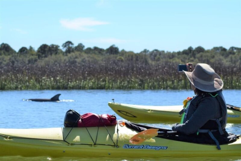 Charleston: Guided 2hr. Kayak Tour with a Tandem or Single - The Sum Up: Who Is This Tour Best For?