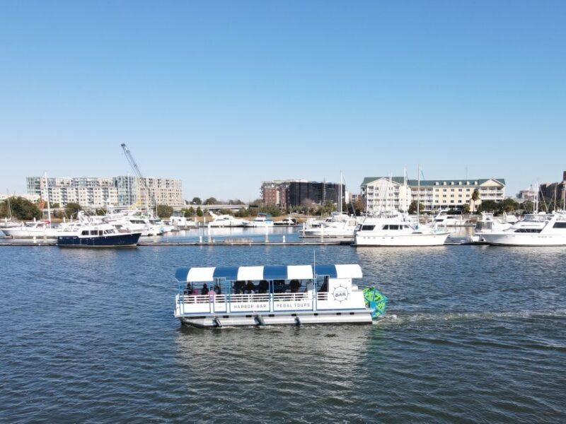 Charleston: Harbor Bar Pedal Boat Party Cruise - Who Will Love This Experience?