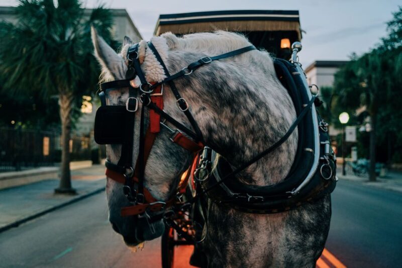 Charleston: Haunted Carriage Evening Tour - Key Points