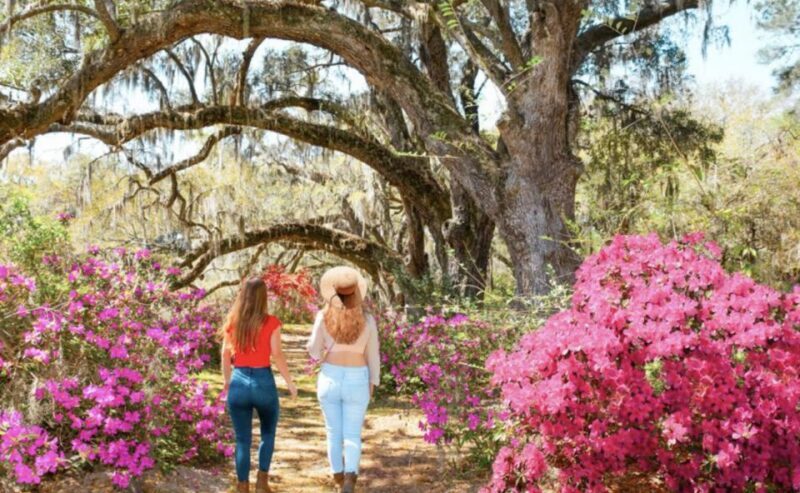 Charleston: Historic City Tour & Magnolia Plantation Combo - Final Thoughts