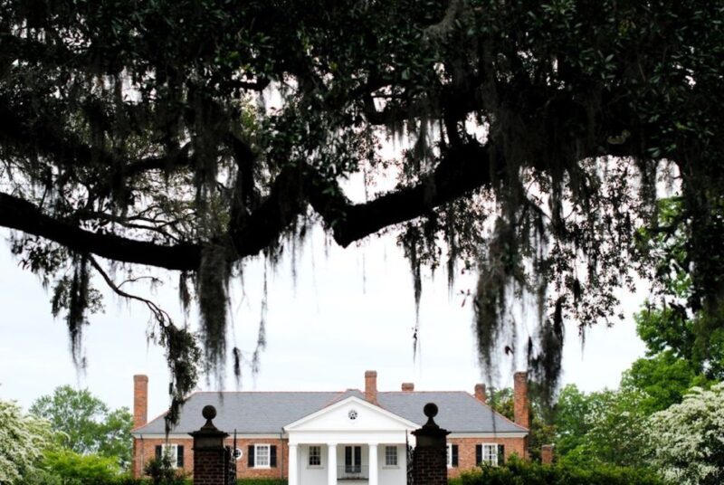 Charleston: Historic District & Plantation VIP Private Tour - Who Will Appreciate This Tour?
