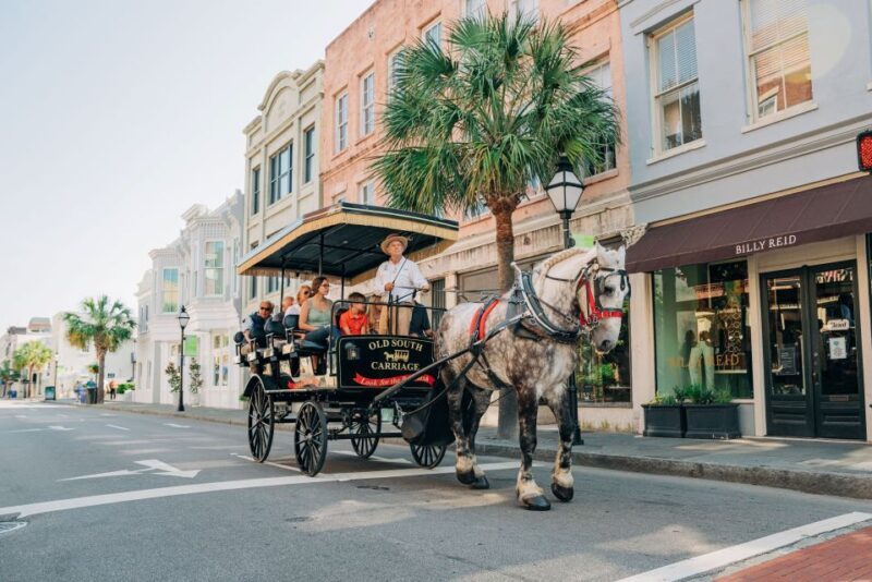 Charleston: Historical Downtown Tour by Horse-drawn Carriage - A Deep Dive into the Experience