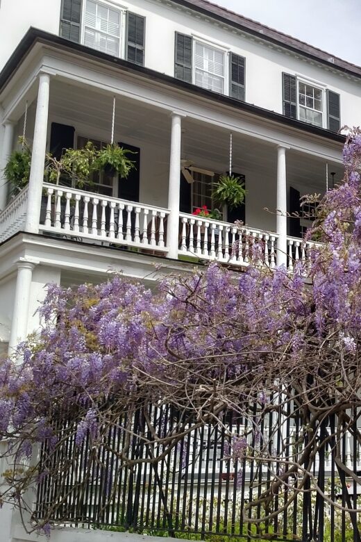 Charleston: Historical Walking Tour with Storytelling - An In-Depth Look at Charleston’s Heritage and Charm