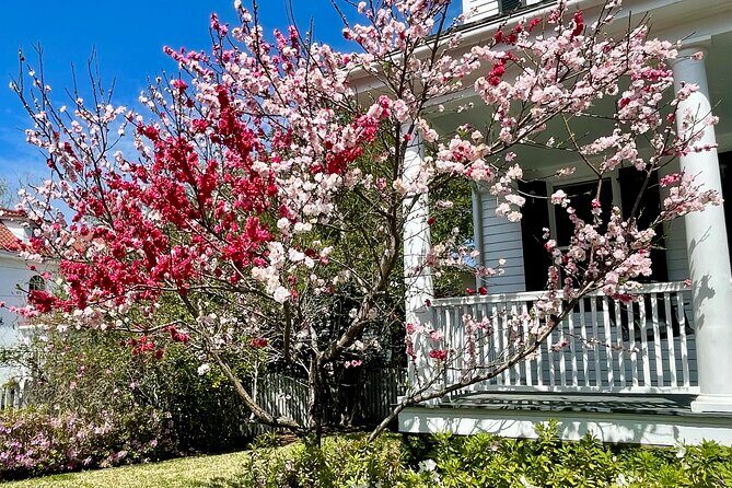 Charleston History Tour / - A Deep Dive into Charleston’s Charm and Heritage