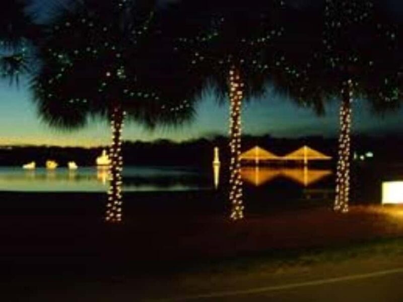 Charleston: Holiday Festival of Lights Tour with S'mores Kit - Key Points