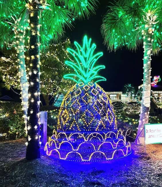 Charleston: Holiday Festival of Lights Tour with S'mores Kit - A Closer Look at the Festival of Lights Tour