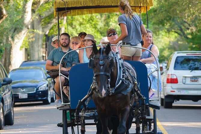 Charleston Horse & Carriage Historic Sightseeing Tour - An In-Depth Look at the Charleston Horse & Carriage Tour