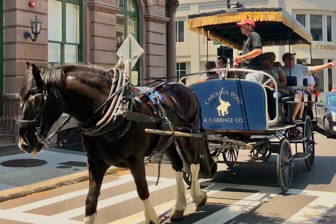 Charleston Horse & Carriage Historic Sightseeing Tour - FAQs