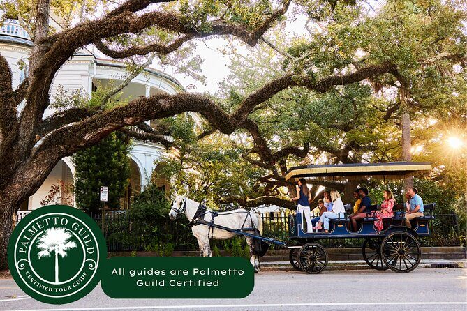 Charleston Horse-Drawn Carriage Tour: Explore Historic Charleston - A Deep Dive into the Charleston Horse-Drawn Carriage Tour
