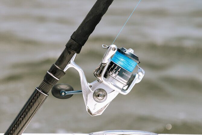 Charleston Inshore Fishing Charter - Key Points