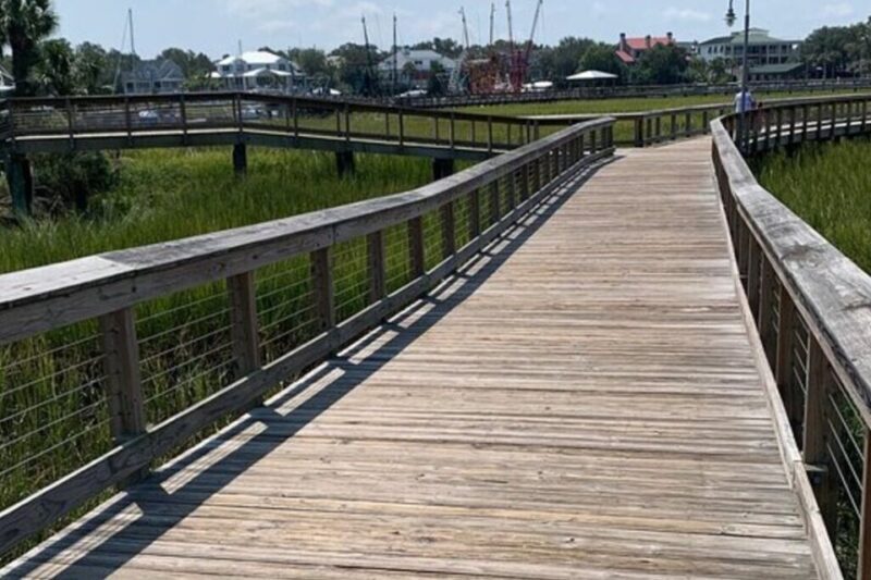 Charleston: Low Country and Shores E-Bike Tour - An inviting introduction to Charleston’s scenic coastline and neighborhoods