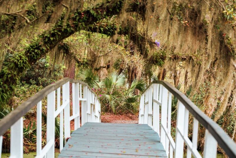 Charleston: Magnolia Plantation Entry & Tour with Transport - The Experience: Why It Works