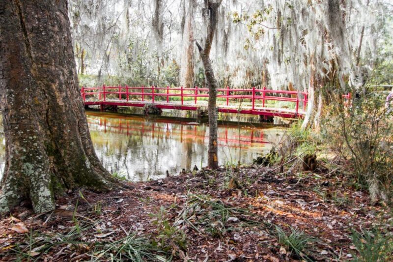 Charleston: Magnolia Plantation Entry & Tour with Transport - Who Will Love This Tour?