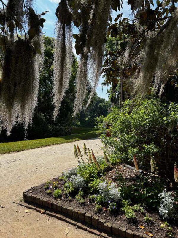 Charleston: Middleton Place Guided Tour with Lunch - FAQ
