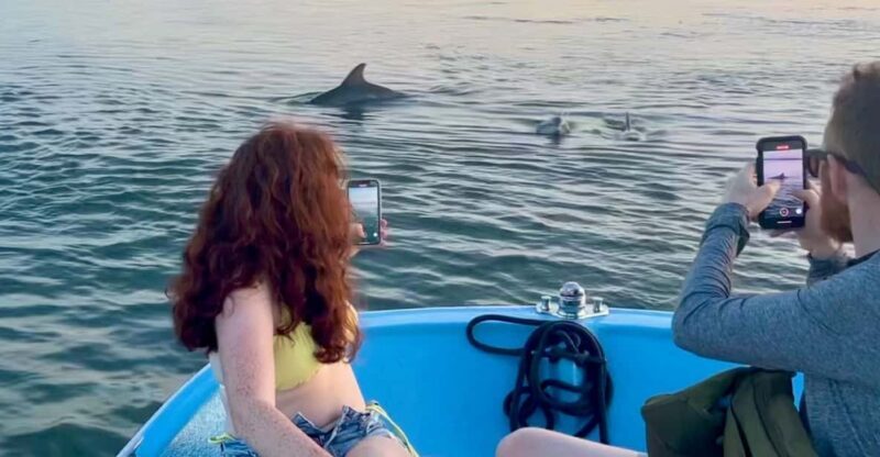 Charleston: Morris Island Dolphin Cruise with Beachcombing - A Genuine Look at the Morris Island Dolphin Cruise