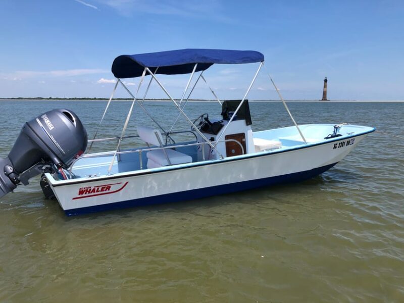 Charleston: Morris Island Dolphin Cruise with Beachcombing - Who Is This Tour Best For?