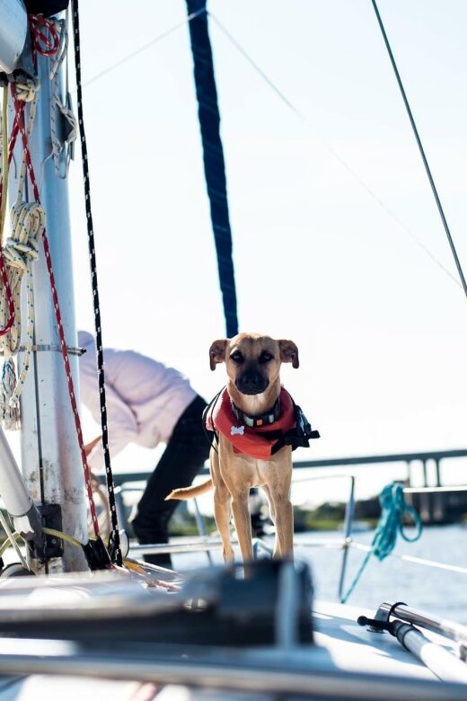 Charleston: Private BYOB Luxury Yacht Cruise - The Itinerary in Detail