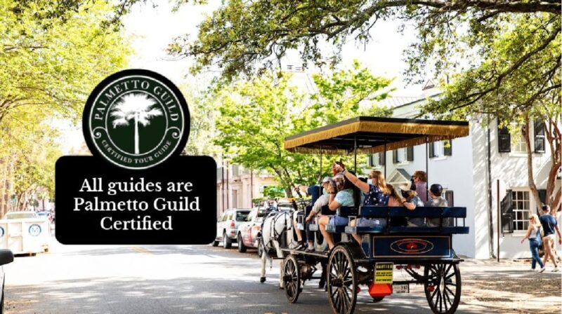 Charleston, SC: Private Daytime Horse-Drawn Carriage Ride - A Thorough Look at the Experience