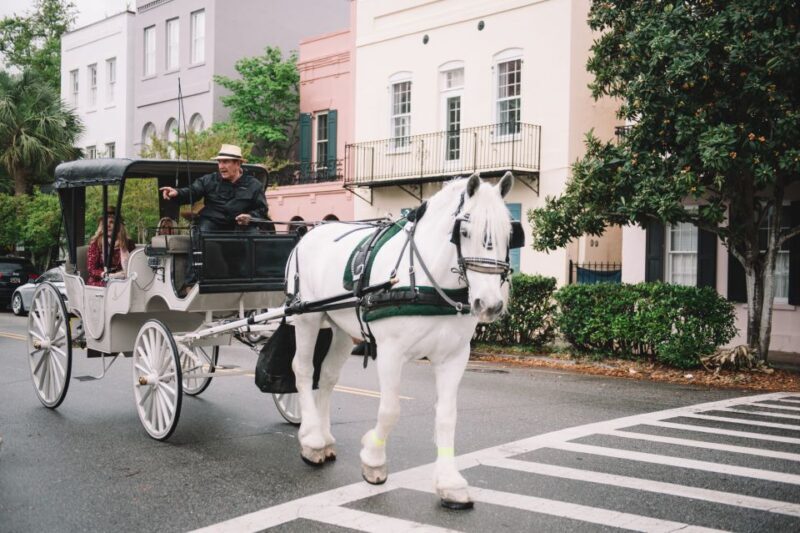 Charleston, SC: Private Daytime Horse-Drawn Carriage Ride - Authentic Encounters and Reviews