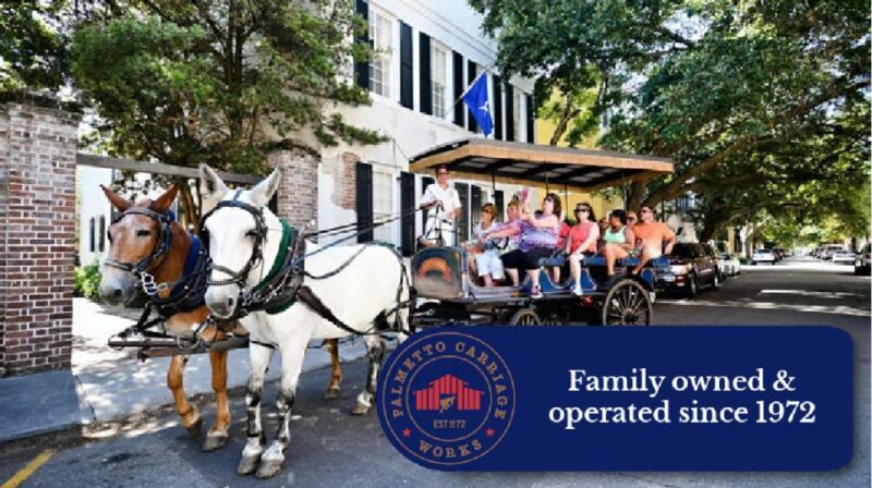 Charleston, SC: Private Daytime Horse-Drawn Carriage Ride - The Sum Up: Who Is This Tour For?