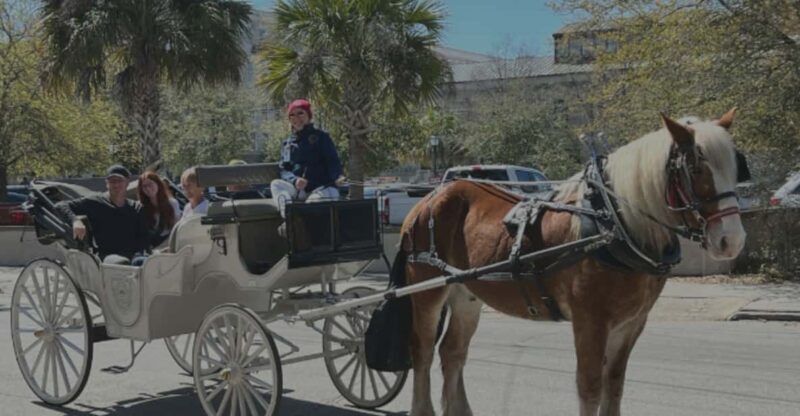 Charleston, SC: Private Evening Horse & Carriage Tour - Key Points