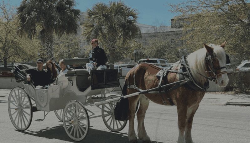 Charleston, SC: Private Evening Horse & Carriage Tour - A Detailed Look at the Charleston Private Horse & Carriage Tour