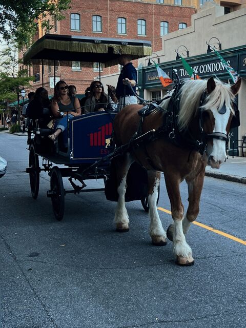 Charleston, SC: Private Evening Horse & Carriage Tour - What to Expect During Your Tour