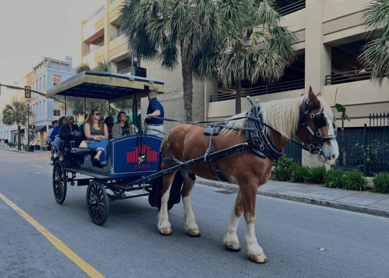 Charleston, SC: Private Evening Horse & Carriage Tour - The Experience Provider — Palmetto Carriage