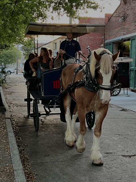 Charleston, SC: Private Evening Horse & Carriage Tour - The Sum Up
