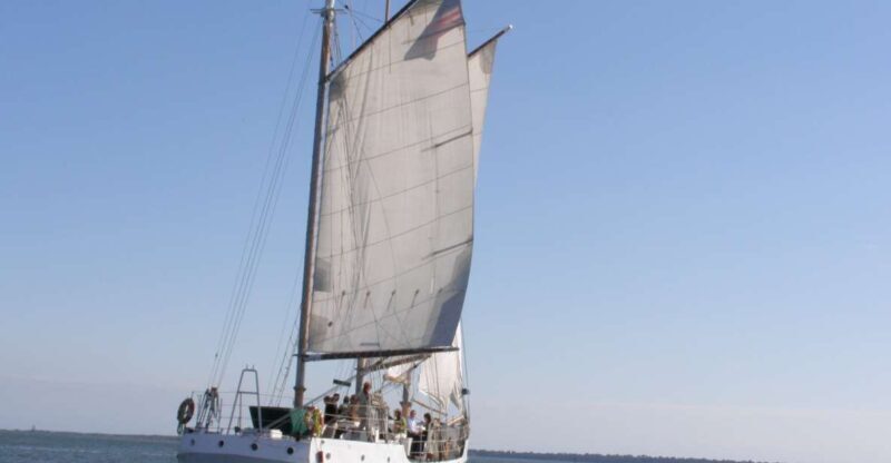 Charleston: Schooner Sailing Harbor Tour & Dolphin Watch - An In-Depth Look at the Charleston Schooner Experience