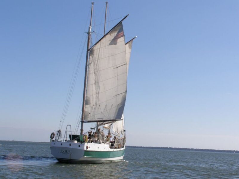 Charleston: Schooner Sailing Harbor Tour & Dolphin Watch - The Sum Up