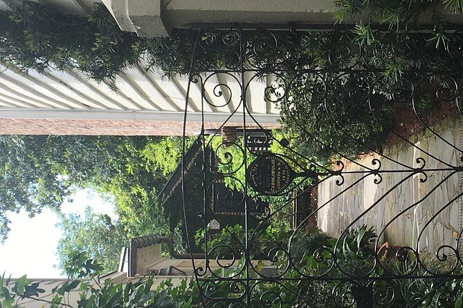 Charleston Walking Tours with Ann - Who Is This Tour Perfect For?