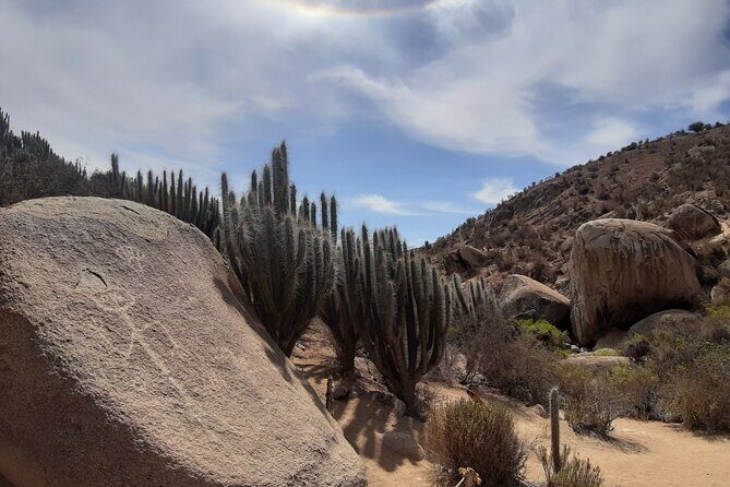 Charm Valley Archaeological Tour, Shamanism and Petroglyphs - Exploring the Charm Valley and Coastal Treasures of La Serena