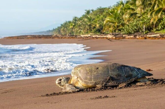 Charming Beaches for 10 Nights and 11 Days (Minimum 2 people) - FAQs