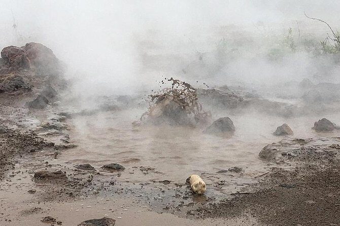 Charming Leon Outdoor - Culture, Nature and Fun - FAQs