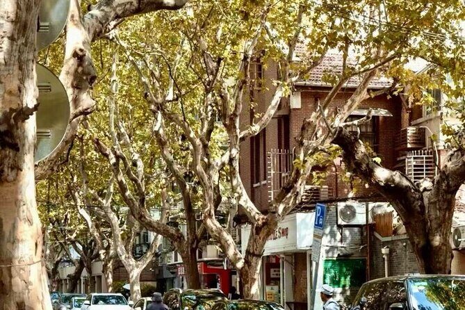 Charming Shanghai French Concession Mini-group Walking Tour - What’s Included and Excluded