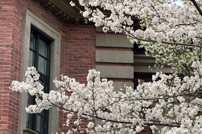 Charming Shanghai French Concession Mini-group Walking Tour - Final Thoughts: Who Will Love This Tour?