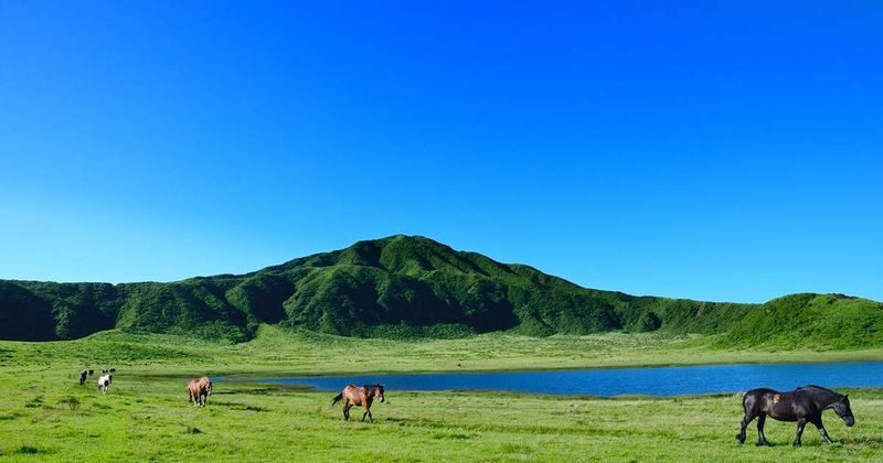 Chartered car self-guided tour (customized itinerary) | Fukuoka, Kumamoto, Oita (Beppu), Nagasaki, Saga, Miyazaki Takachiho - Beppu and Oita: hot spring sights, with ticket timing to consider