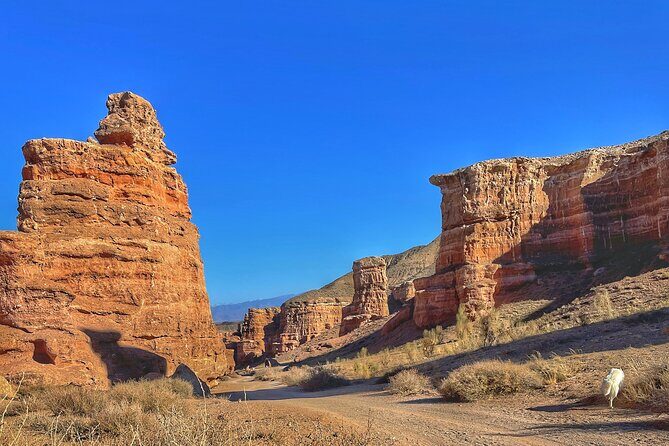 Charyn Canyon Private tour - Key Points