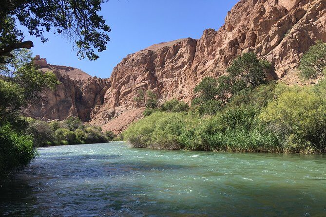 Charyn Canyon Private tour from Almaty, 1 day - A Detailed Look at the Charyn Canyon Private Tour from Almaty