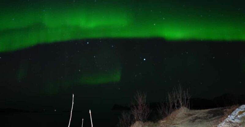 Chase the Magic of the Northern Lights in Tromsø Norway - What does the tour include?