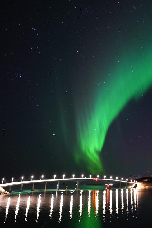 Chase the Magic of the Northern Lights in Tromsø Norway - The campfire experience and local treats