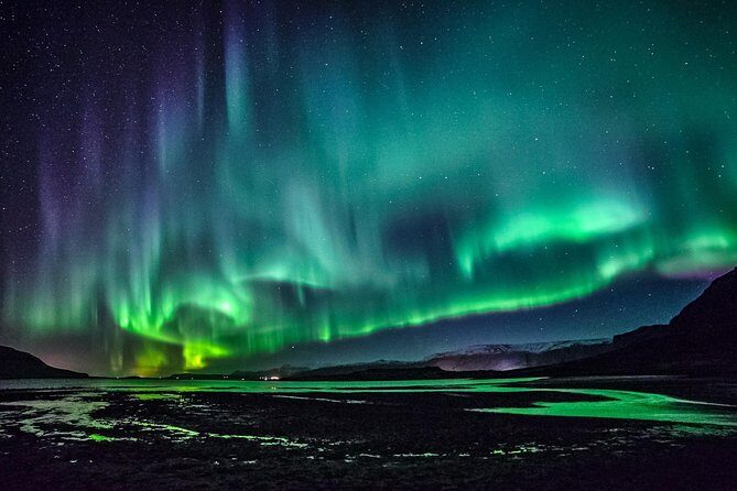 Chasing Aurora Borealis with Warmth and Treats in Premium Tour! - An In-Depth Look at the Tour Experience