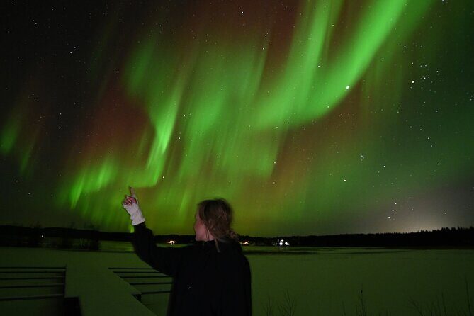 Chasing the auroras guaranteed tour with professional photography - Authentic Insights From Travelers