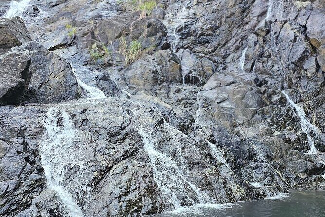 Chasing Waterfalls Experience in Tobago - Key Points: