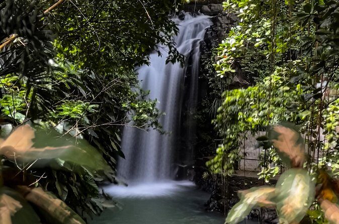Chasing Waterfalls in Grenada Hike and Adventure Tours - An In-Depth Look at the Waterfalls Adventure