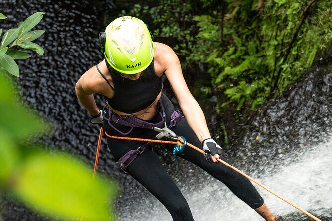 Chasing Waterfalls:Wild Hawaii Rappelling - Who Would Love This Tour?